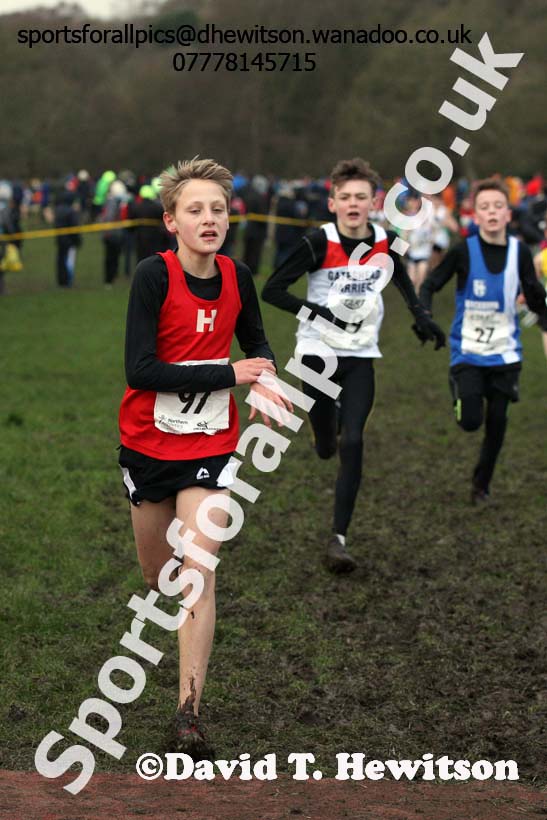Boys under-13 Northern Cross Country Champs., Witton Park, Blackburn. Photo: David T. Hewitson/Sports for All Pics